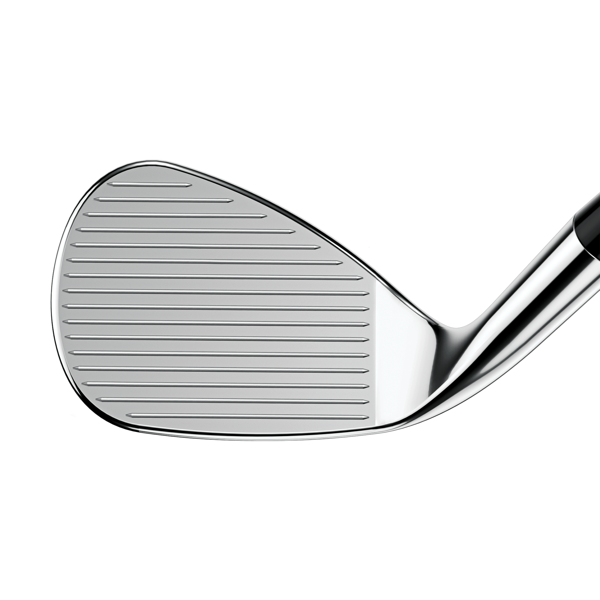 wedges-2023-cb___2.png